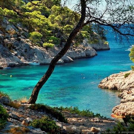 Ciotat Colada Beau Duplex Atypique A 50 M Du Port Classe 3 Etoiles La Ciotat Dış mekan fotoğraf