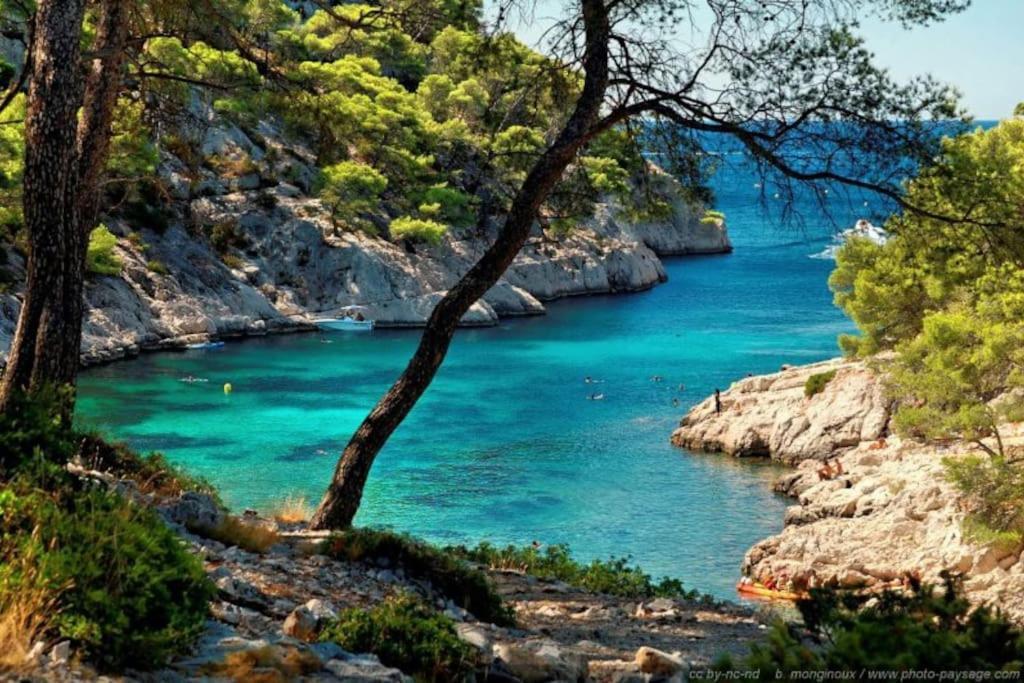 Ciotat Colada Beau Duplex Atypique A 50 M Du Port Classe 3 Etoiles La Ciotat Dış mekan fotoğraf